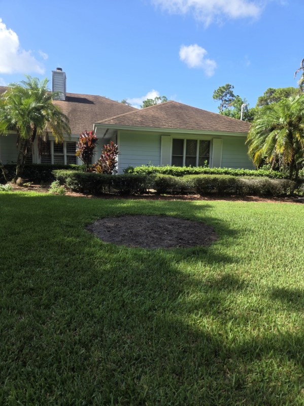 Bare soil circle in the front lawn after palm removal